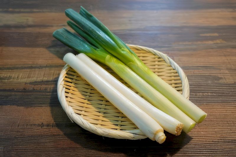 대파-3