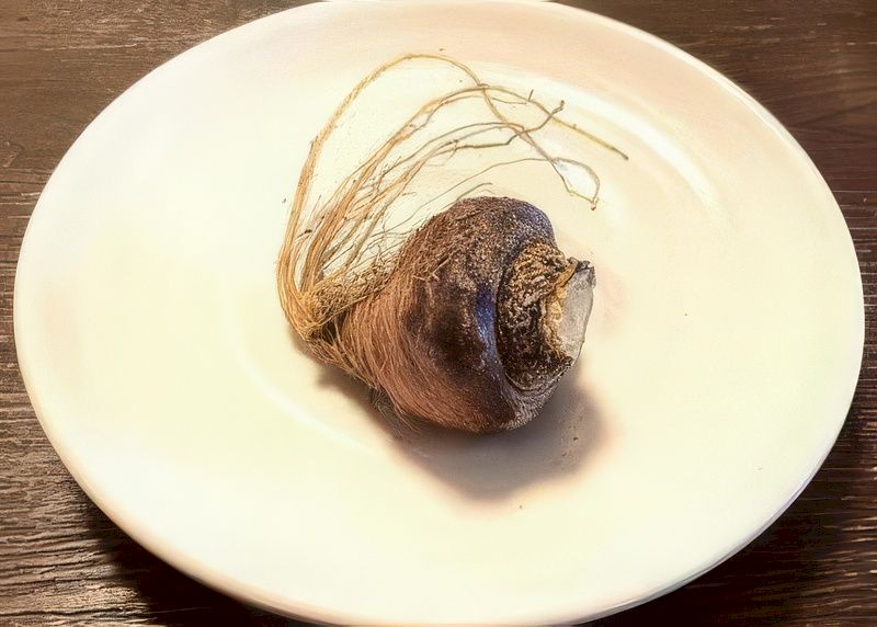 마카-3
